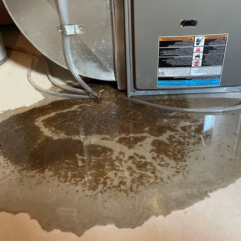 Pipe Burst and Leak Restoration in Enfield, CT